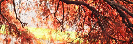 自动发货平台的在线轰炸网页版