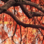 24小时不停呼叫软件