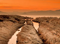 无缝集成开发的在线轰炸网页版