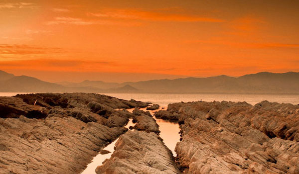 免费网络电话在线使用